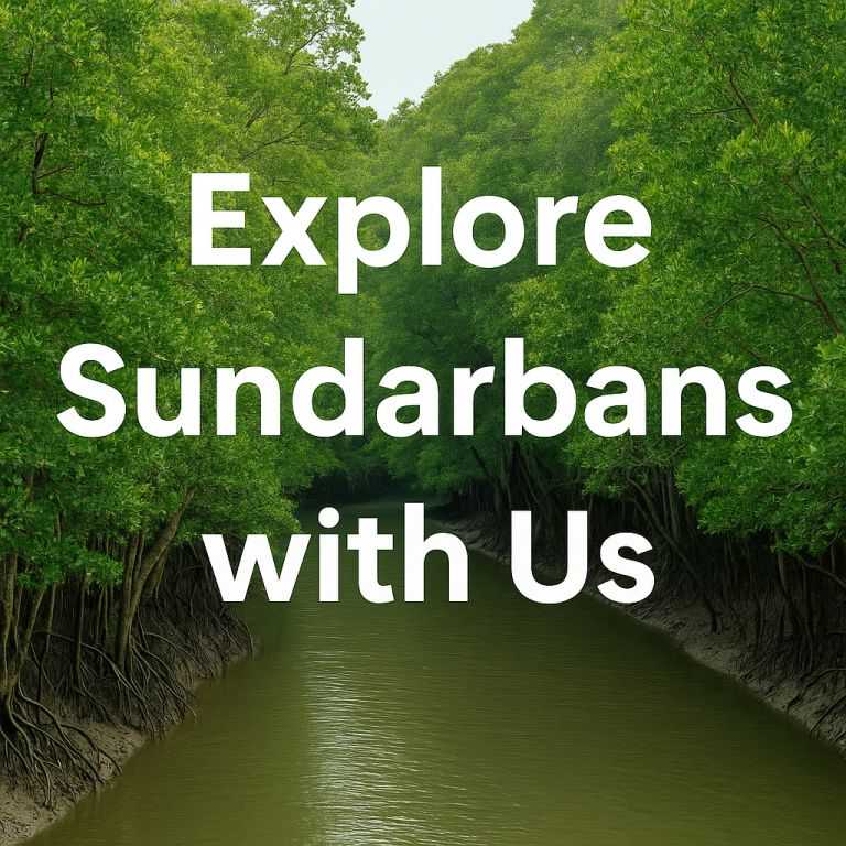 Discover the Wilderness: Sundarban Tour Package for 2 Nights 3 Days