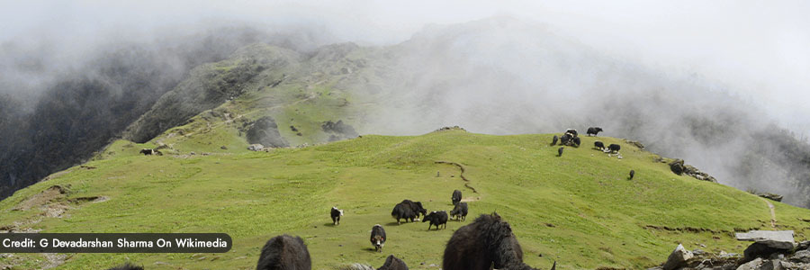 Singalila National Park